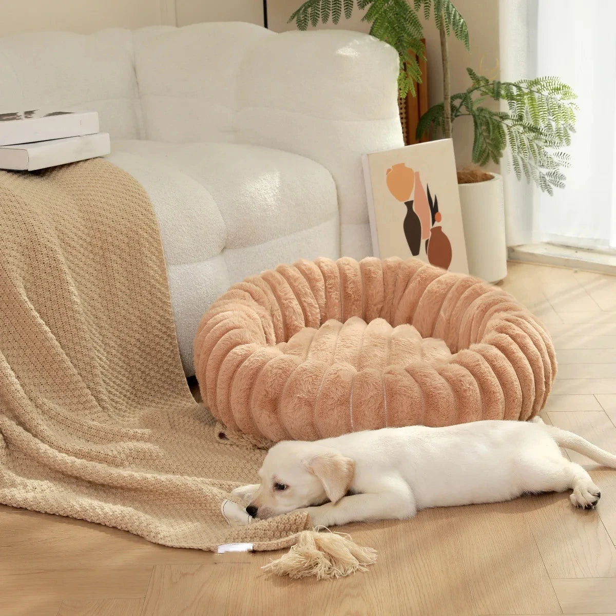 Lit Douillet en Forme de Donuts pour Petits et Chiens moyens
