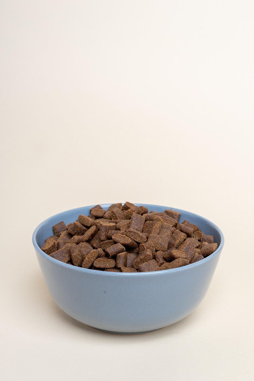 Maxi Chicken Adult Croquettes for Large Dogs Grain-Free 12Kg