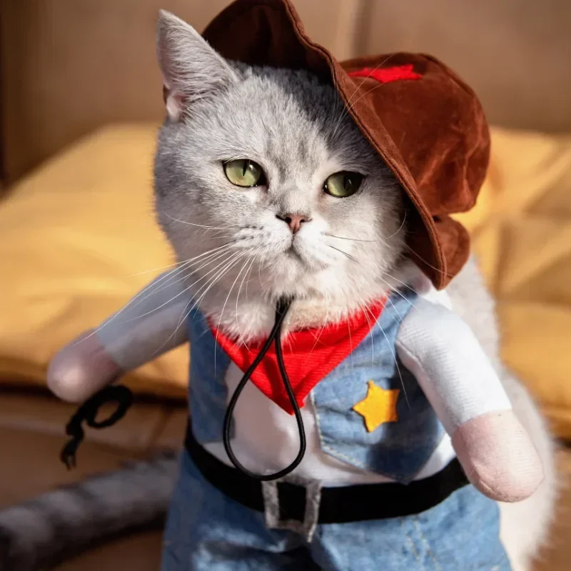 Costume d'Halloween Cowboy pour Chien et Chat chapeau 2