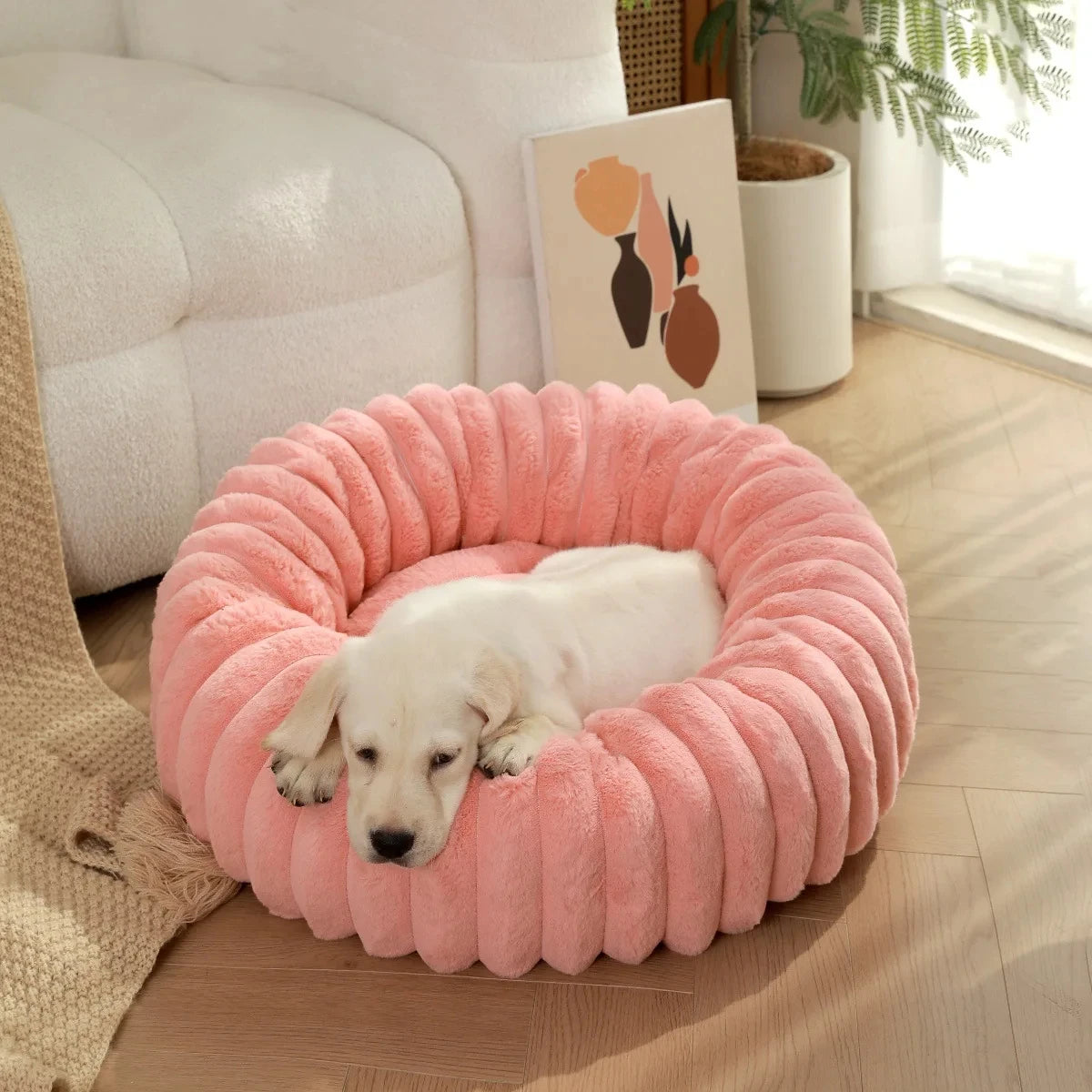 Lit Douillet en Forme de Donuts pour Petits et Chiens moyens
