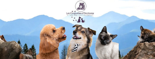 Les Croquettes d'Occitanie, nous en sommes fier !