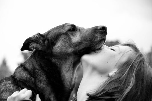 Femme éduquant son chien noir et blanc avec des techniques d'éducation express en 5 minutes par jour