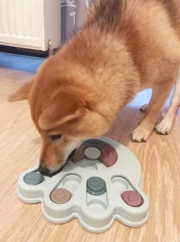 Lot de 2 Gamelles Interactives pour Grand Chien – Nourrissez l'esprit, stimulez l'appéti