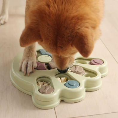 Lot de 2 Gamelles Interactives pour Grand Chien – Nourrissez l'esprit, stimulez l'appéti