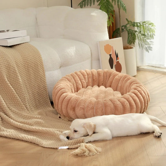 Lit Douillet en Forme de Donuts pour Petits et Chiens moyens