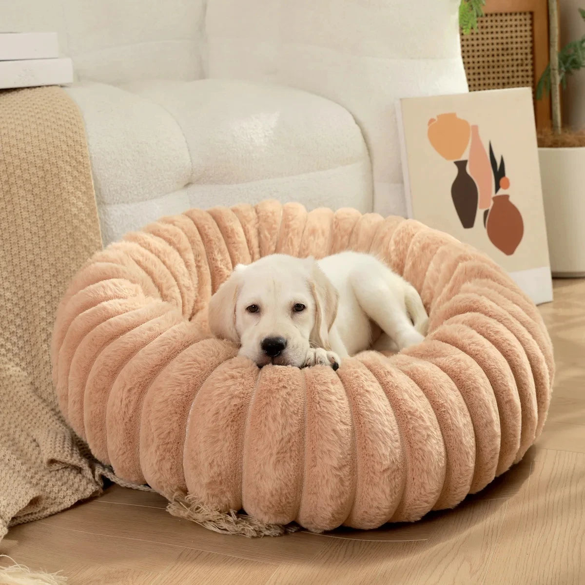 Lit Douillet en Forme de Donuts pour Petits et Chiens moyens