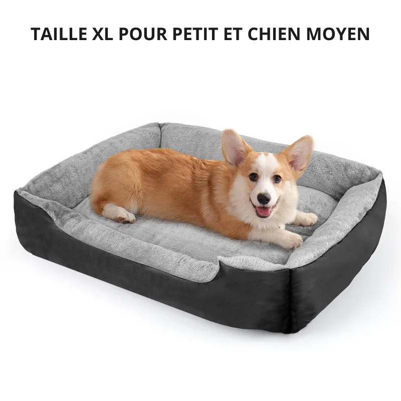 Canapé Lavable pour Chien – Confort, hygiène et style pour votre compagnon