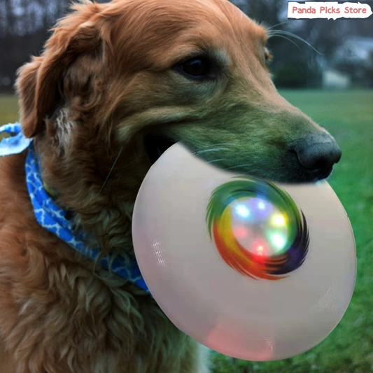 Frisbee Lumineux pour Chien – Jouez sans limites, même la nuit