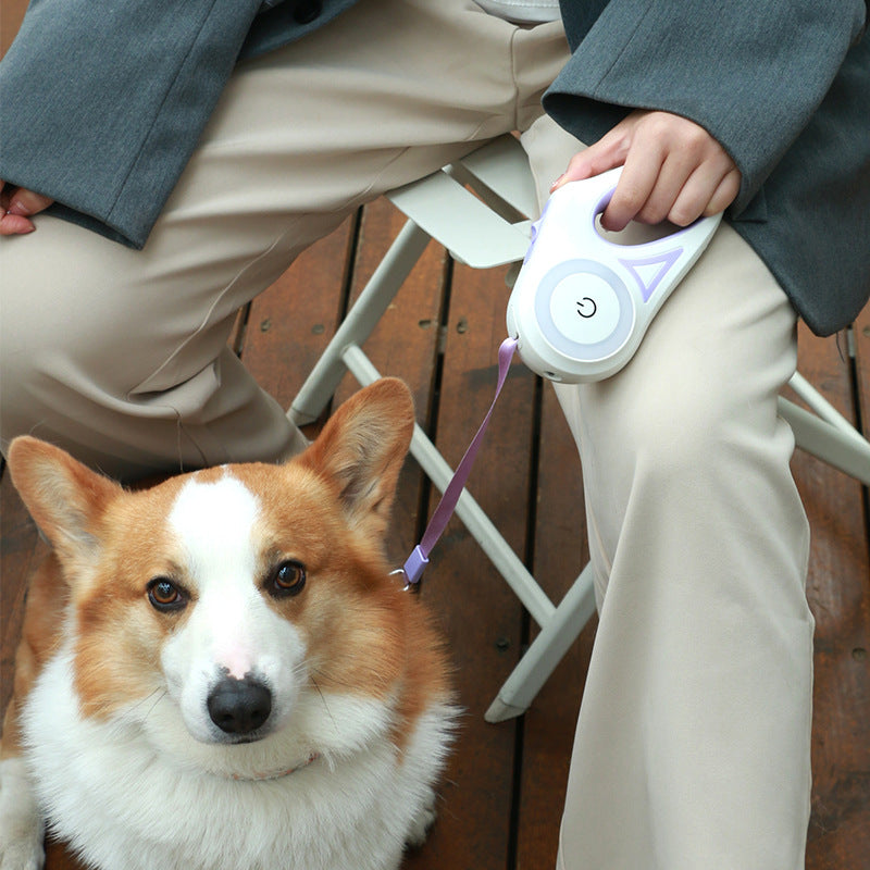 Laisse Rétractable et éclairante pour Chien - Contrôle Total & Liberté | La Niche à Chien, pour petit ou grand chien