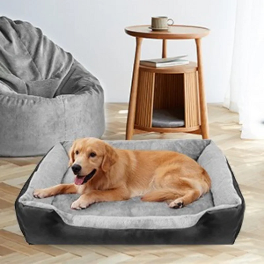 Canapé Lavable pour Chien – Confort, hygiène et style pour votre compagnon