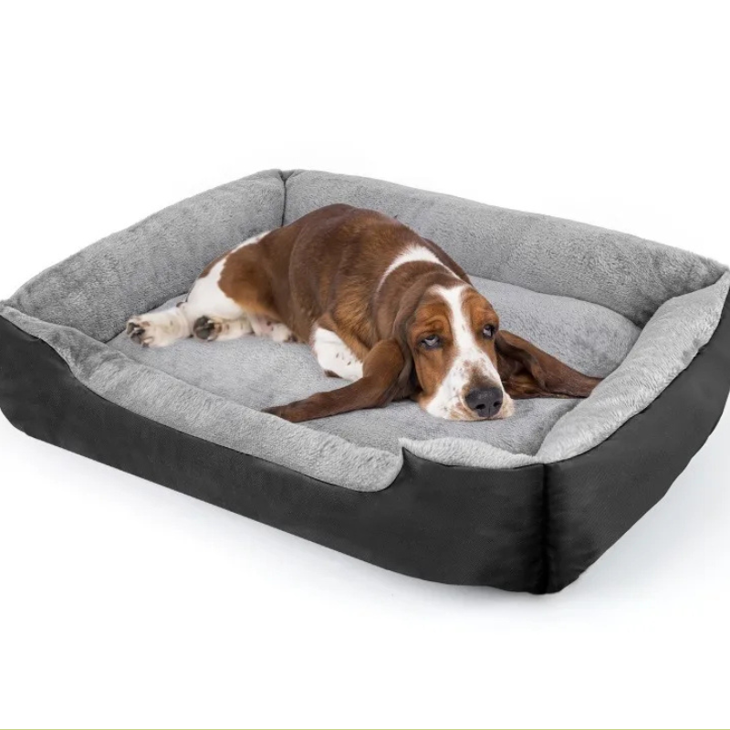 Canapé Lavable pour Chien – Confort, hygiène et style pour votre compagnon