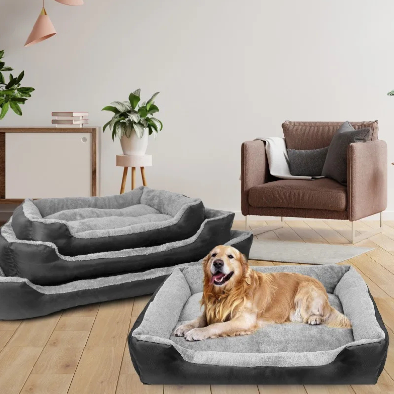 Canapé Lavable pour Chien – Confort, hygiène et style pour votre compagnon