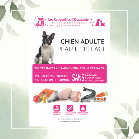 Croquettes Premium au Saumon pour Chien Adulte en 12Kg