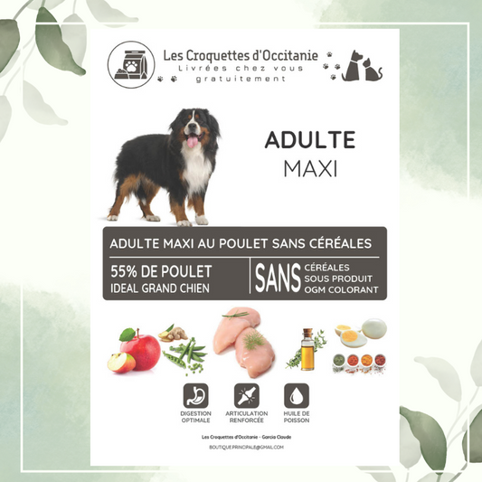 Croquettes Adulte Maxi Poulet pour Grand Chien Sans Céréales 12Kg