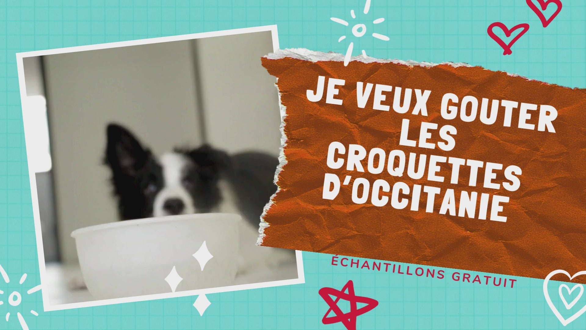 Charger la vidéo : Nos croquettes pour chien et chat sans céréales sont approuvées Elles sont testées grâce à nos échantillons gratuits. Vous êtes certain que vos animaux de compagnie ne se trompent pas.