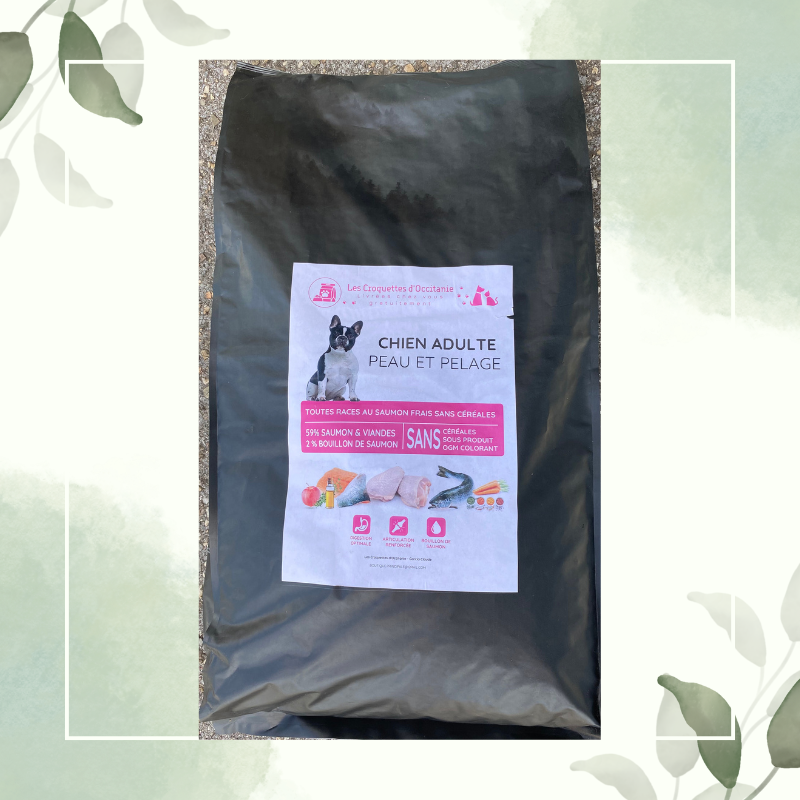 Croquettes Premium au Saumon pour Chien Adulte en 12Kg