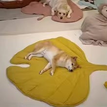 Matelas Doux en Forme de Feuille – Le Confort Durable pour Chiens, Chats, Enfants et Plus Encore